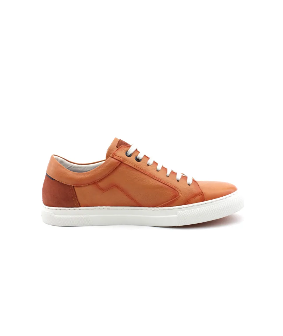 Fluchos F1410 Niko
