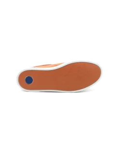 Fluchos F1410 Niko
