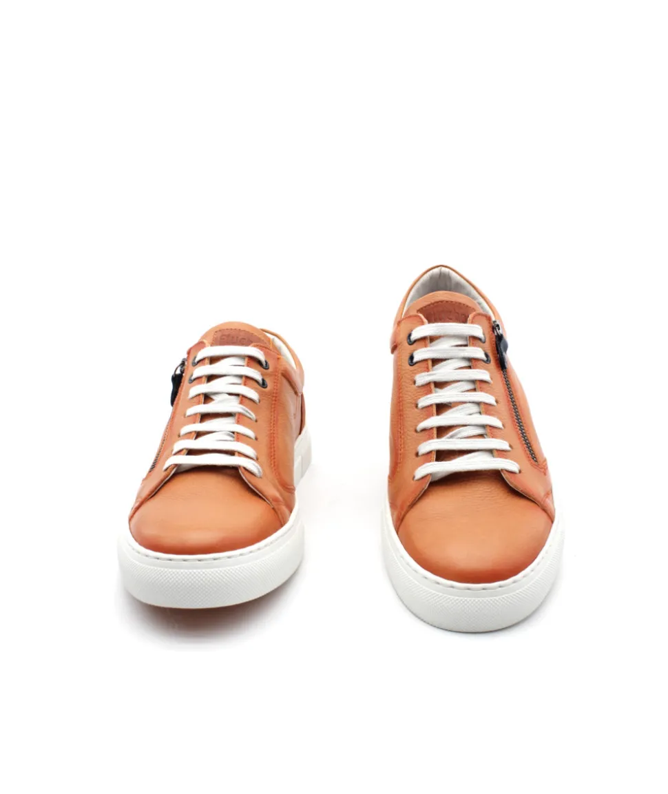 Fluchos F1410 Niko