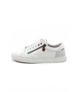 Fluchos F1410 Niko