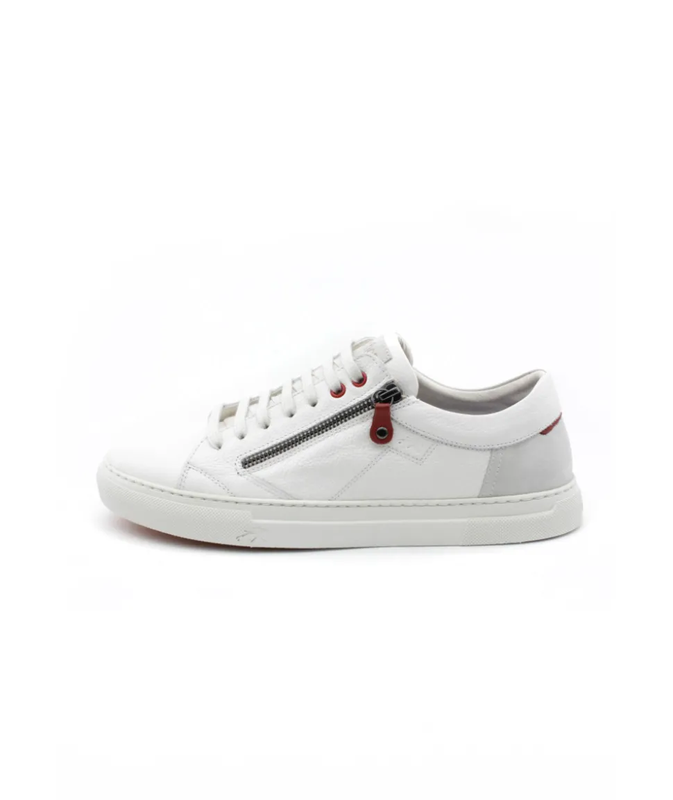 Fluchos F1410 Niko