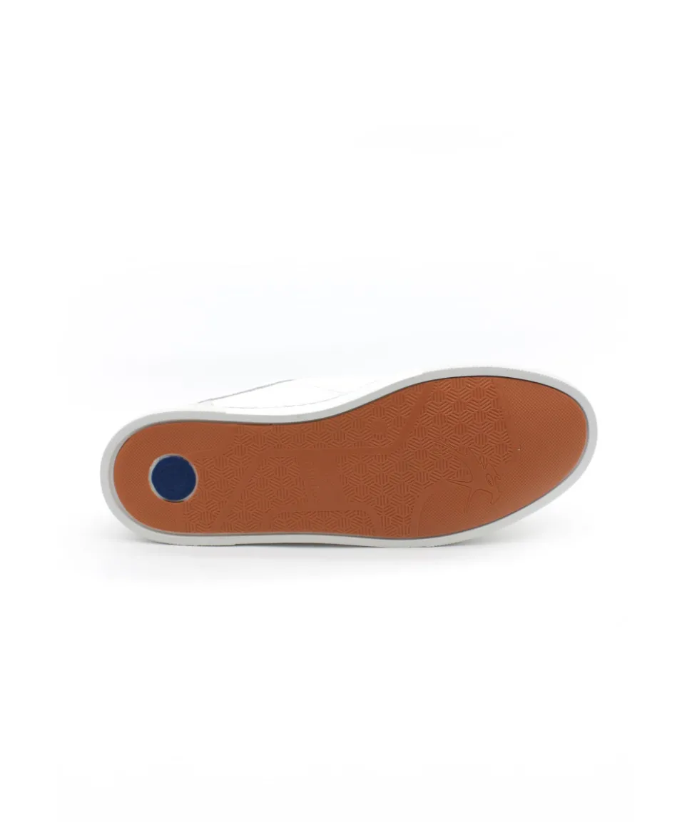 Fluchos F1410 Niko