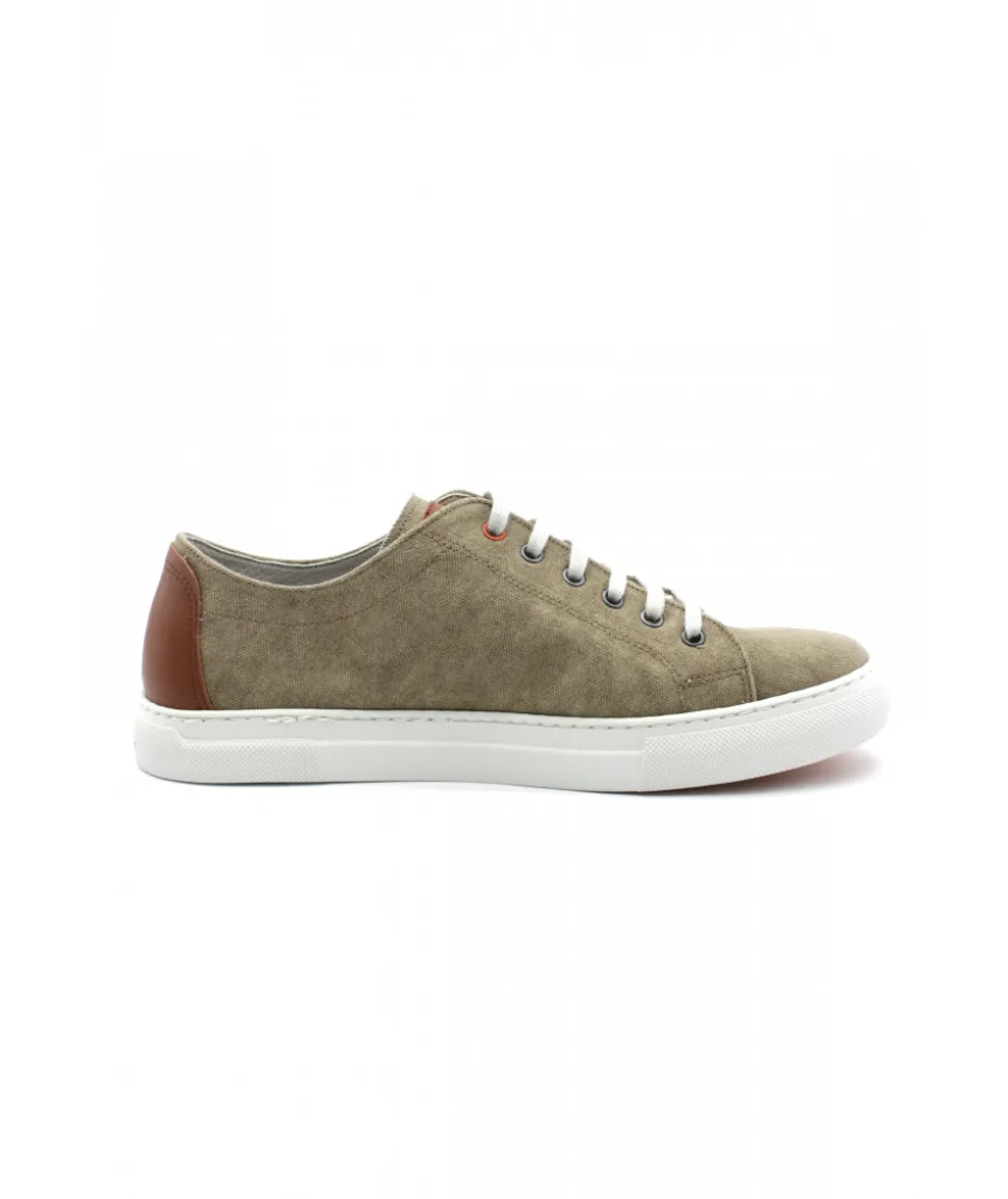 Fluchos F1415 Niko