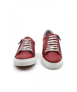 Fluchos F1410 Niko