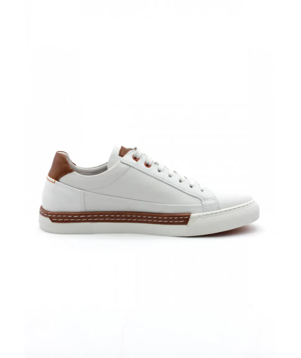 Fluchos F1419 Nuno