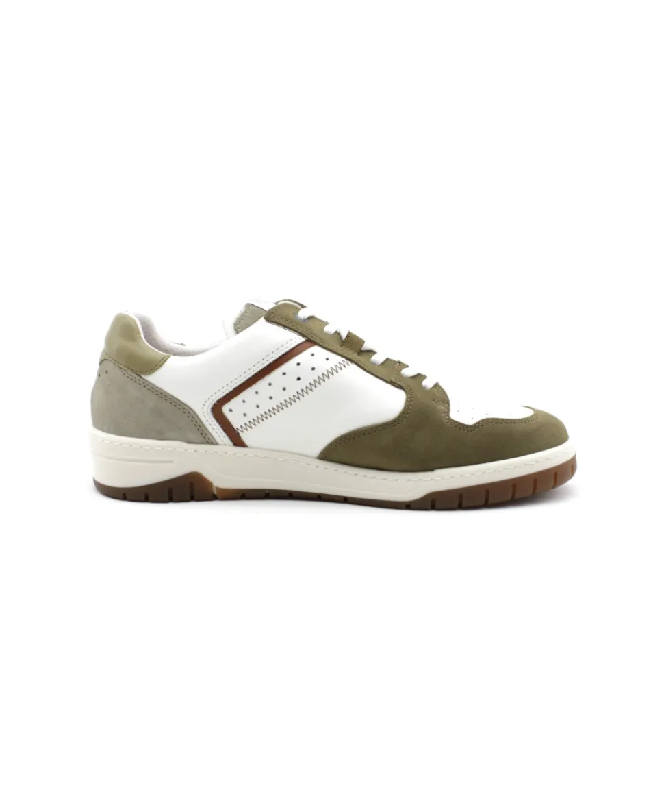 Fluchos F1954 Roger
