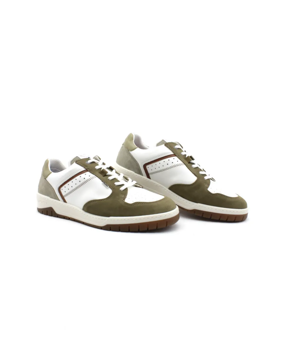 Fluchos F1954 Roger