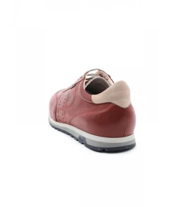 Fluchos F1186 Sander