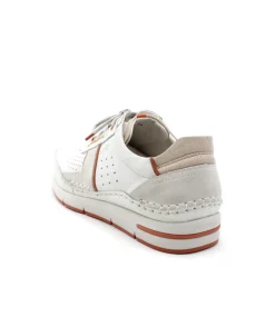 Fluchos F1442 Yannic
