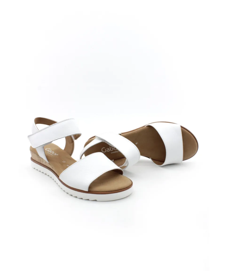 Gabor 42.750.50