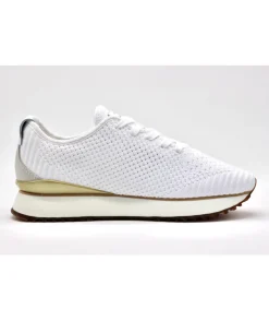 Gant Bevinda G29