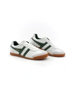 Gola Harrier Cmb426