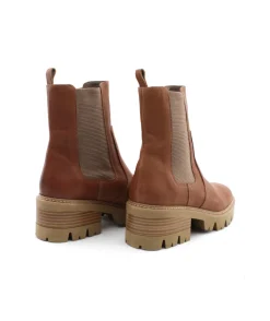Minka Design Donovan