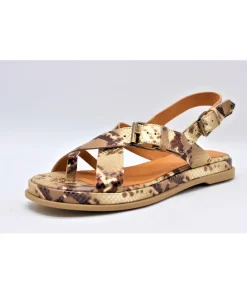 Minka Design Tibby