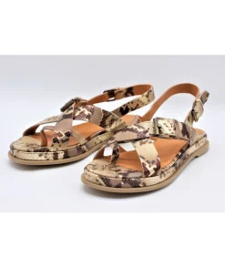 Minka Design Tibby
