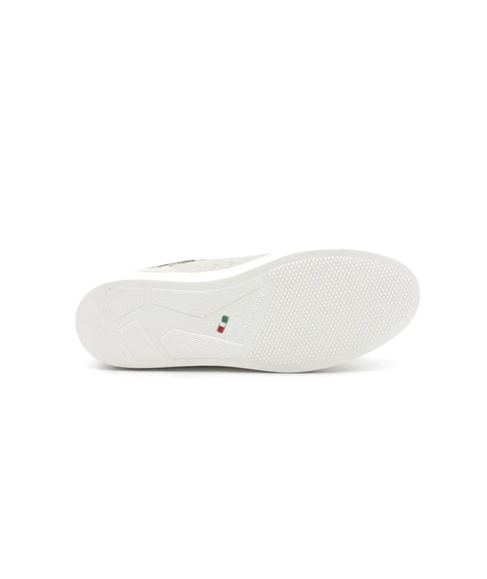 Nerogiardini 06502