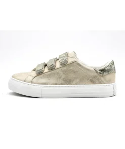 No Name Arcade Straps Gloom Reptil