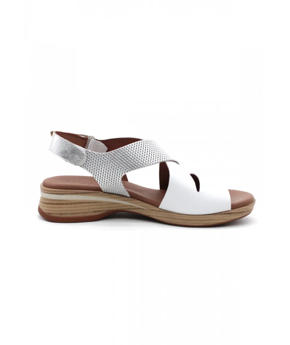 Paula Urban 4-421