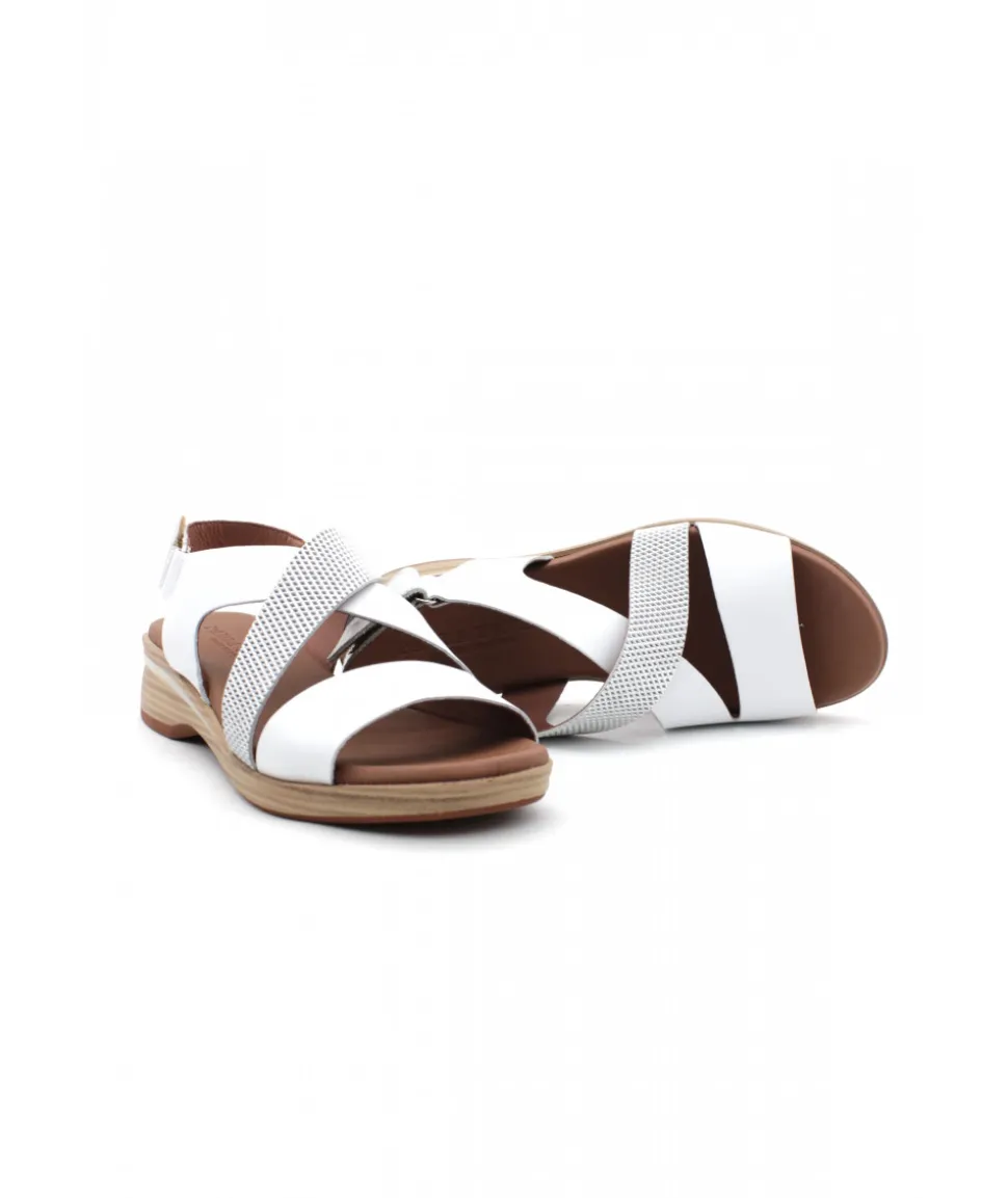 Paula Urban 4-421