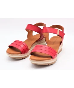Paula Urban 1144