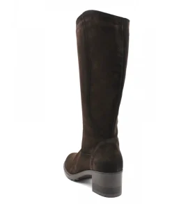 Paula Urban 8-1170