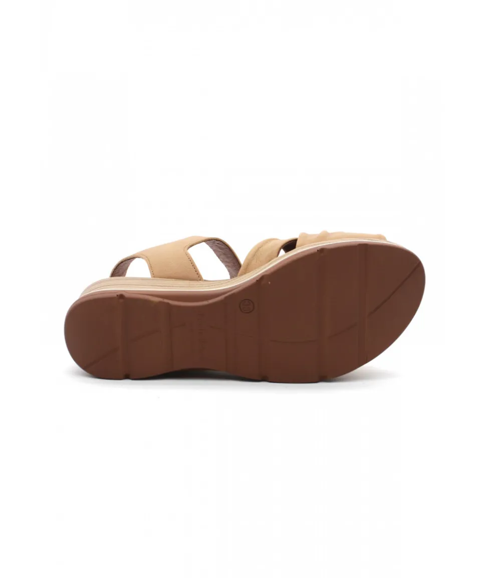 Paula Urban 2-409