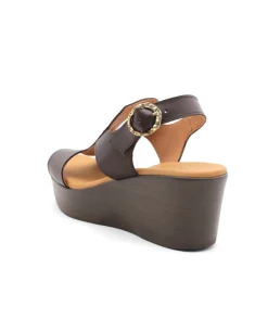 Paula Urban 31-644 Bangla