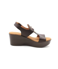 Paula Urban 31-644 Bangla