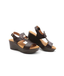 Paula Urban 31-644 Bangla