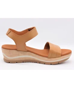 Paula Urban 1144 Bangla