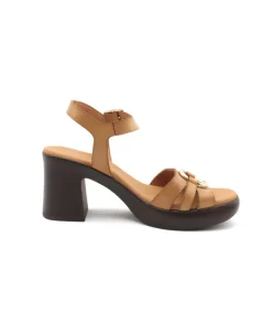 Paula Urban 32-664 Bangla