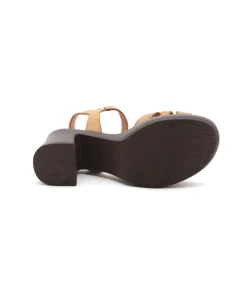 Paula Urban 32-664 Bangla
