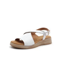 Paula Urban 30-612 Bangla