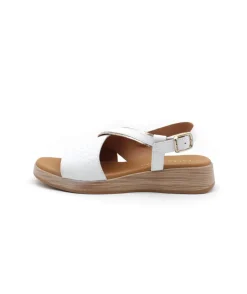 Paula Urban 30-612 Bangla