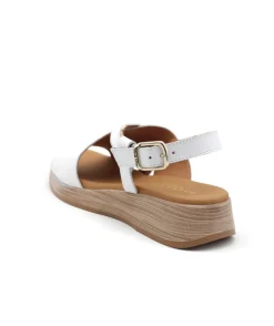 Paula Urban 30-612 Bangla