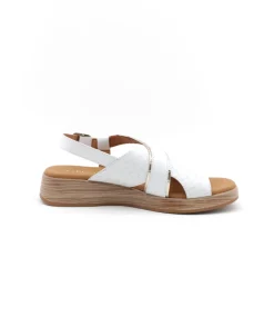Paula Urban 30-612 Bangla