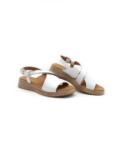 Paula Urban 30-612 Bangla