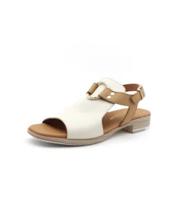 Paula Urban 9-661 Bangla