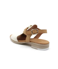 Paula Urban 9-661 Bangla