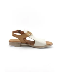 Paula Urban 9-661 Bangla