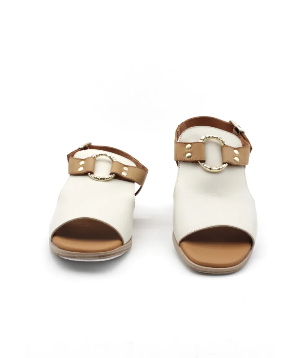 Paula Urban 9-661 Bangla