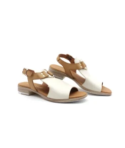 Paula Urban 9-661 Bangla