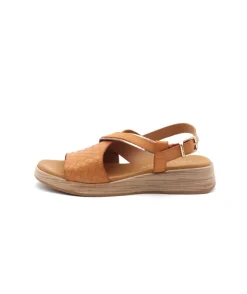 Paula Urban 30-612 Bangla