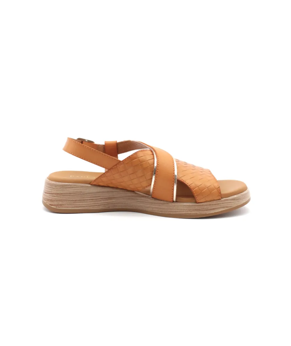 Paula Urban 30-612 Bangla