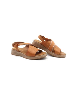 Paula Urban 30-612 Bangla