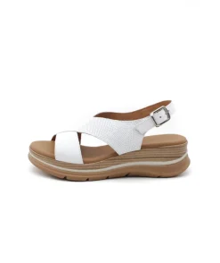 Paula Urban 24-578 Bangla