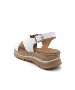 Paula Urban 24-578 Bangla
