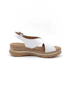 Paula Urban 24-578 Bangla