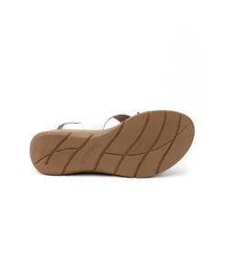 Paula Urban 24-578 Bangla