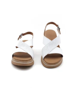 Paula Urban 24-578 Bangla